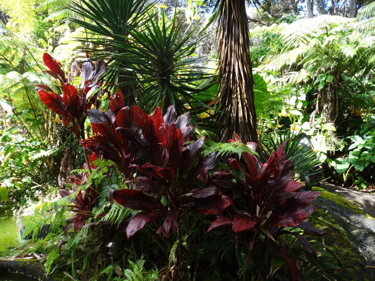 Chalet Kilauea Volcano Zewnętrze zdjęcie